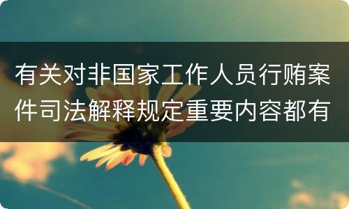 有关对非国家工作人员行贿案件司法解释规定重要内容都有哪些