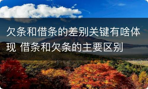 欠条和借条的差别关键有啥体现 借条和欠条的主要区别