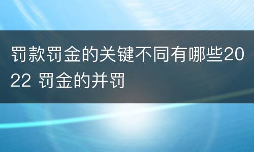 罚款罚金的关键不同有哪些2022 罚金的并罚