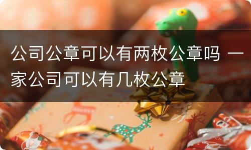 公司公章可以有两枚公章吗 一家公司可以有几枚公章