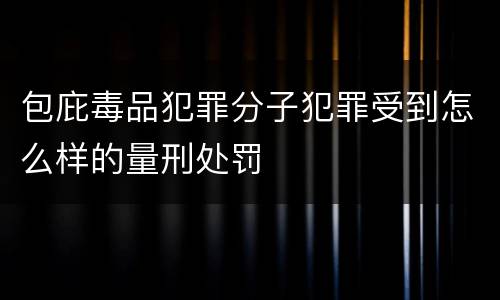 包庇毒品犯罪分子犯罪受到怎么样的量刑处罚