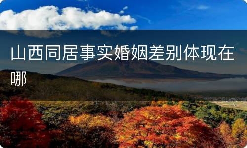 山西同居事实婚姻差别体现在哪
