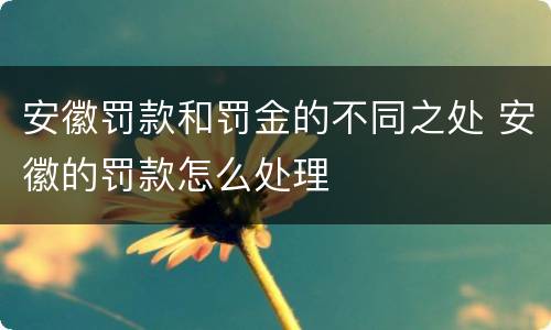 安徽罚款和罚金的不同之处 安徽的罚款怎么处理