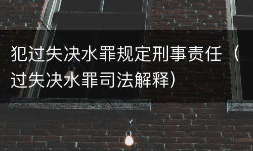 犯过失决水罪规定刑事责任（过失决水罪司法解释）