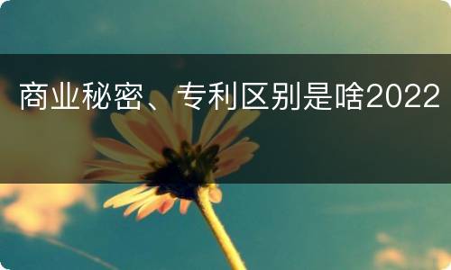 商业秘密、专利区别是啥2022