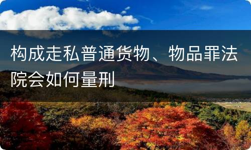 构成走私普通货物、物品罪法院会如何量刑