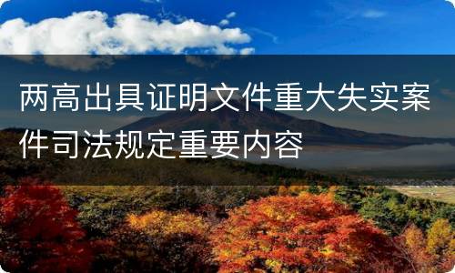 两高出具证明文件重大失实案件司法规定重要内容