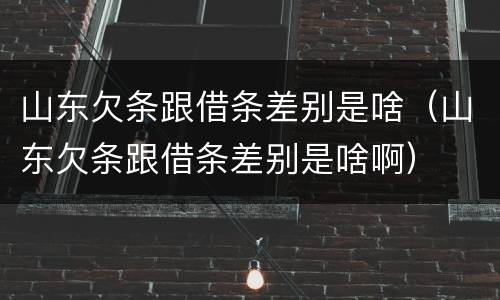 山东欠条跟借条差别是啥（山东欠条跟借条差别是啥啊）