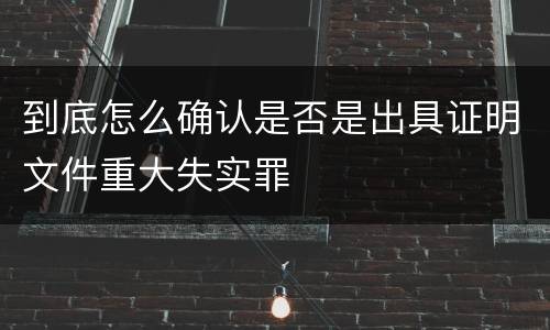 到底怎么确认是否是出具证明文件重大失实罪