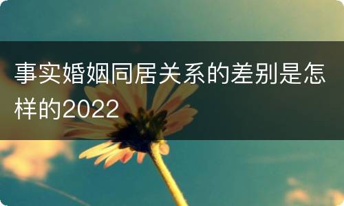 事实婚姻同居关系的差别是怎样的2022
