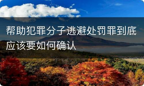 帮助犯罪分子逃避处罚罪到底应该要如何确认