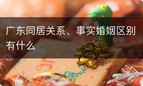 广东同居关系、事实婚姻区别有什么