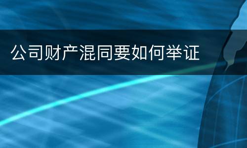 公司财产混同要如何举证