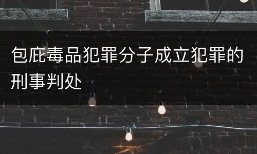 包庇毒品犯罪分子成立犯罪的刑事判处