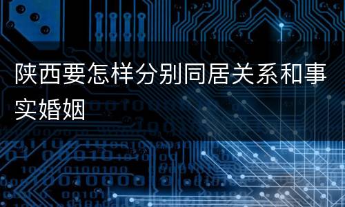 陕西要怎样分别同居关系和事实婚姻
