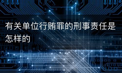 有关单位行贿罪的刑事责任是怎样的