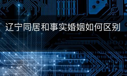 辽宁同居和事实婚姻如何区别