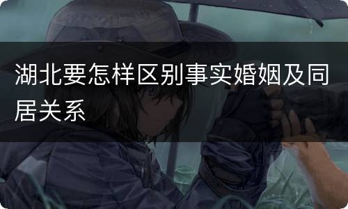 湖北要怎样区别事实婚姻及同居关系