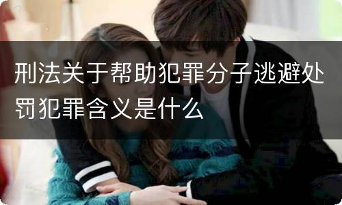 刑法关于帮助犯罪分子逃避处罚犯罪含义是什么