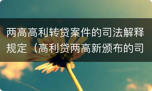 两高高利转贷案件的司法解释规定（高利贷两高新颁布的司法解释）