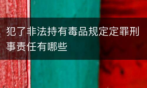 犯了非法持有毒品规定定罪刑事责任有哪些