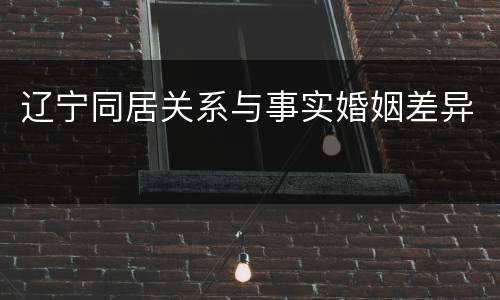 辽宁同居关系与事实婚姻差异