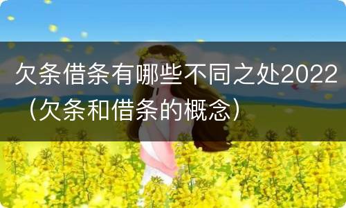 欠条借条有哪些不同之处2022（欠条和借条的概念）