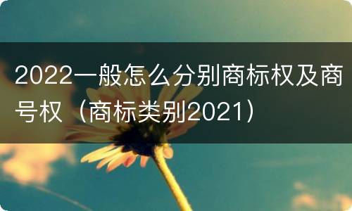 2022一般怎么分别商标权及商号权（商标类别2021）
