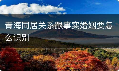 青海同居关系跟事实婚姻要怎么识别