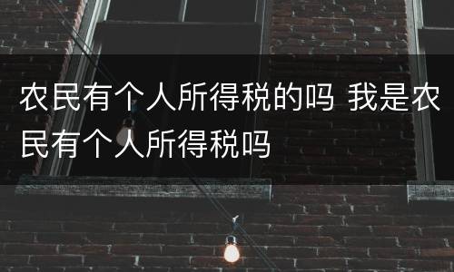 农民有个人所得税的吗 我是农民有个人所得税吗