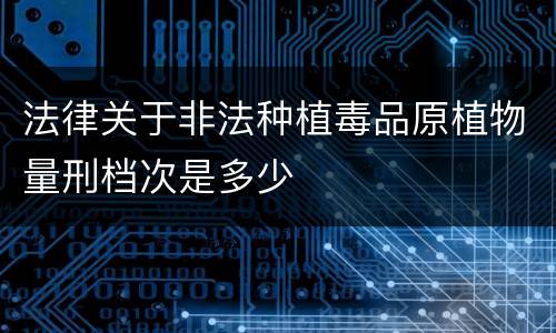 法律关于非法种植毒品原植物量刑档次是多少