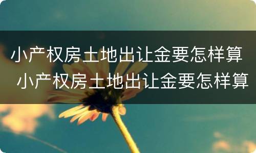 小产权房土地出让金要怎样算 小产权房土地出让金要怎样算的
