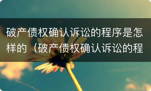 破产债权确认诉讼的程序是怎样的（破产债权确认诉讼的程序是怎样的法律规定）