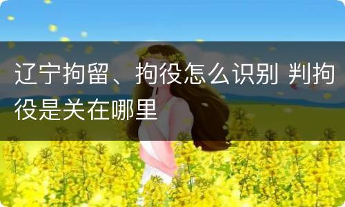 辽宁拘留、拘役怎么识别 判拘役是关在哪里