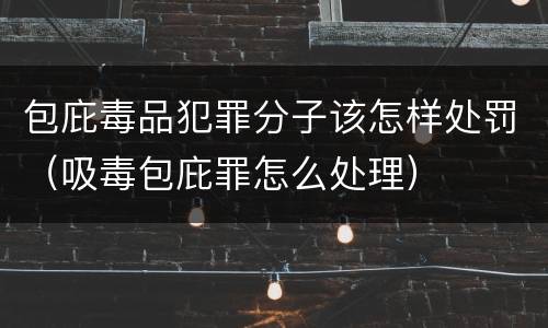 包庇毒品犯罪分子该怎样处罚（吸毒包庇罪怎么处理）