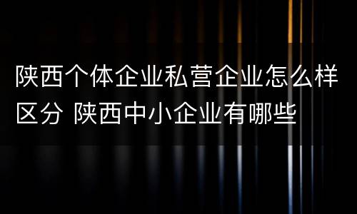 陕西个体企业私营企业怎么样区分 陕西中小企业有哪些