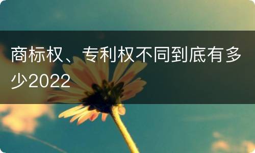 商标权、专利权不同到底有多少2022