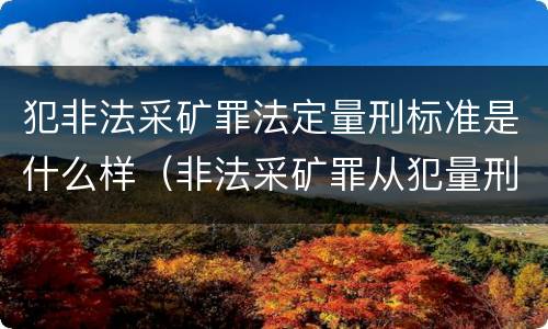犯非法采矿罪法定量刑标准是什么样（非法采矿罪从犯量刑）