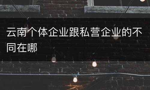 云南个体企业跟私营企业的不同在哪