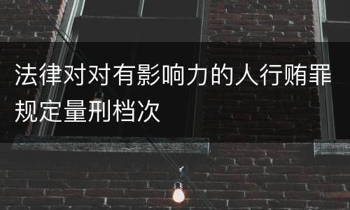 法律对对有影响力的人行贿罪规定量刑档次
