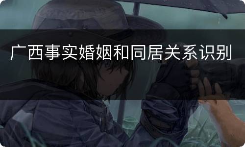 广西事实婚姻和同居关系识别