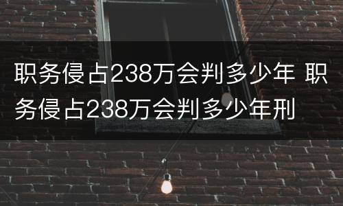 职务侵占238万会判多少年 职务侵占238万会判多少年刑
