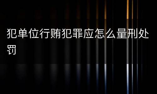 犯单位行贿犯罪应怎么量刑处罚
