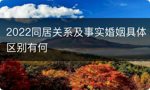 2022同居关系及事实婚姻具体区别有何