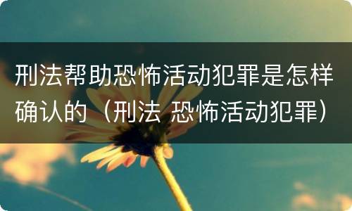 刑法帮助恐怖活动犯罪是怎样确认的（刑法 恐怖活动犯罪）