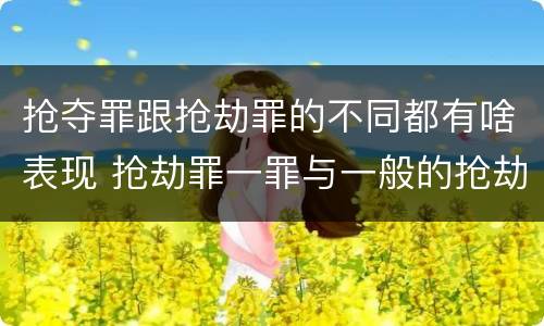 抢夺罪跟抢劫罪的不同都有啥表现 抢劫罪一罪与一般的抢劫罪区别
