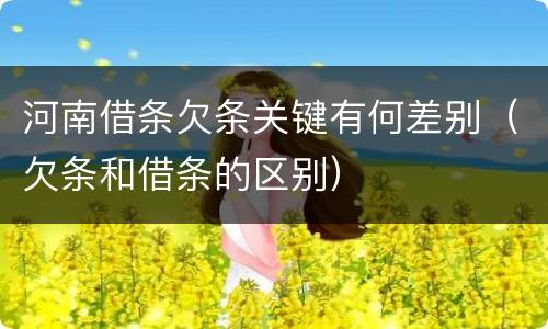 河南借条欠条关键有何差别（欠条和借条的区别）
