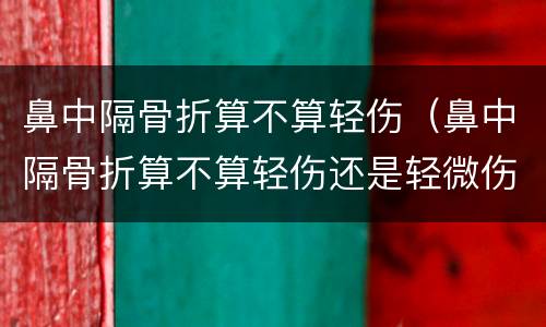 鼻中隔骨折算不算轻伤（鼻中隔骨折算不算轻伤还是轻微伤）