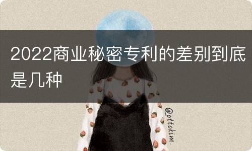 2022商业秘密专利的差别到底是几种