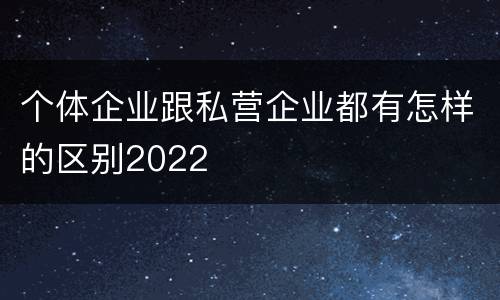 个体企业跟私营企业都有怎样的区别2022